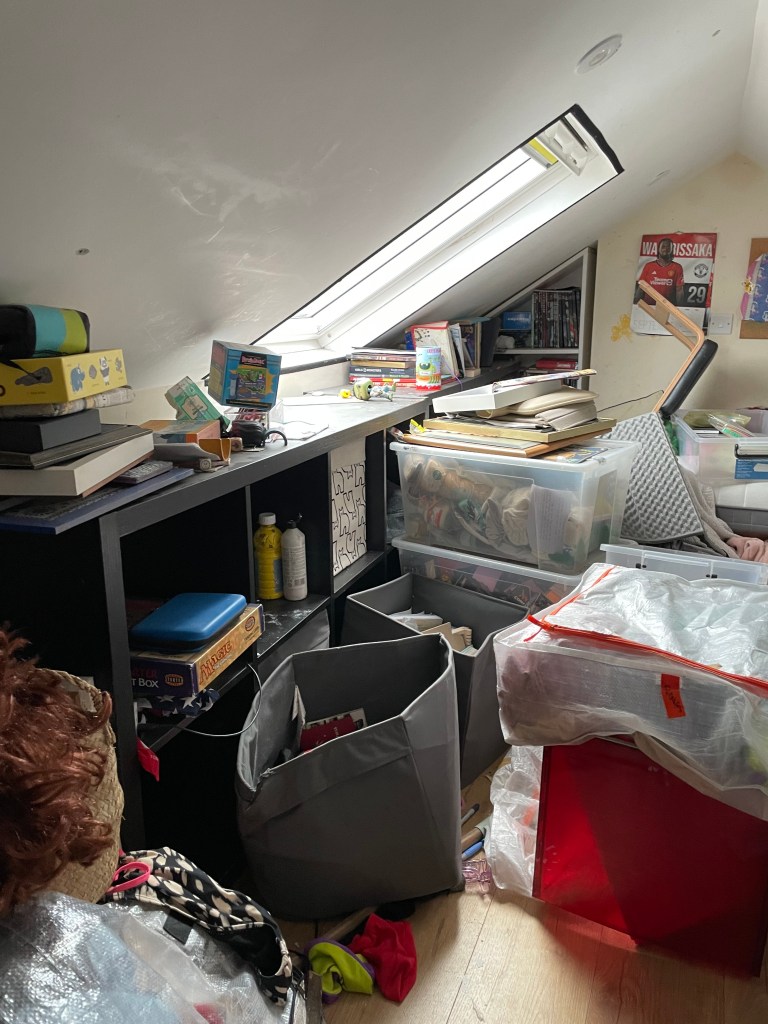 kindred sorting attic space before